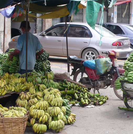 Banana Lady